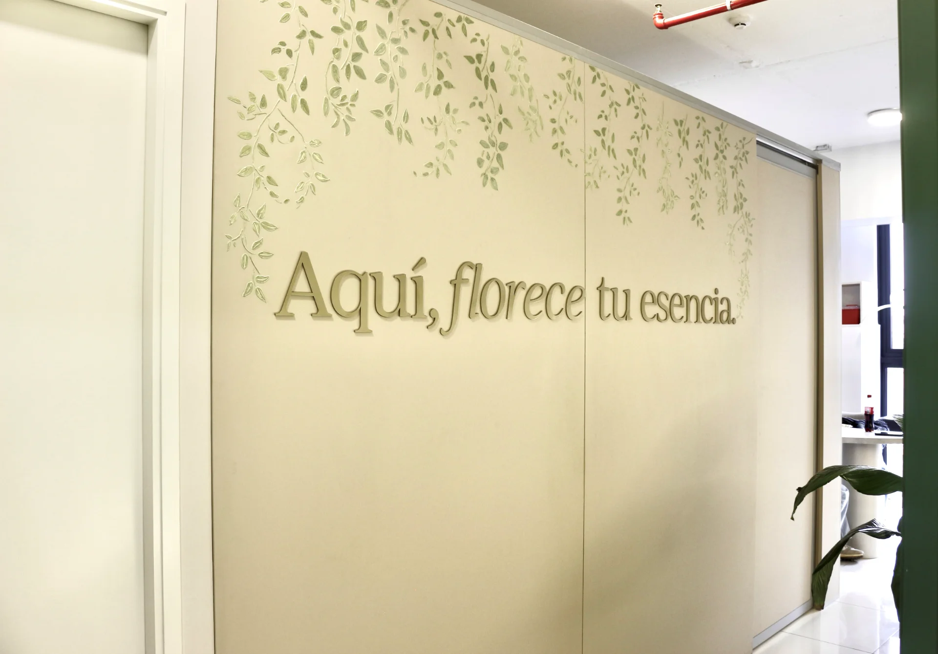 VERSE imagen de galería 5